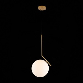 Подвесной светильник ST-Luce Codda SL1148.303.01 в Добрянке - dobryanka.mebel24.online | фото 5