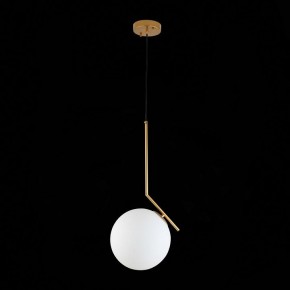 Подвесной светильник ST-Luce Codda SL1148.303.01 в Добрянке - dobryanka.mebel24.online | фото 6