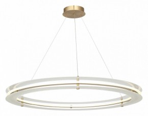 Подвесной светильник ST-Luce FAGY SL6245.213.01 в Добрянке - dobryanka.mebel24.online | фото 4
