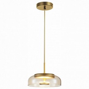 Подвесной светильник ST-Luce Lacio SL6002.203.01 в Добрянке - dobryanka.mebel24.online | фото