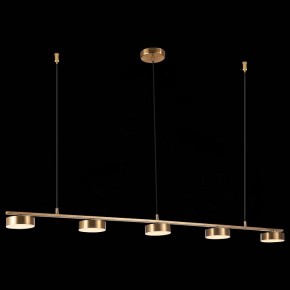 Подвесной светильник ST-Luce Pances SL6000.303.05 в Добрянке - dobryanka.mebel24.online | фото 5