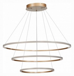Подвесной светильник ST-Luce ST604 OUT ST604.243.114 в Добрянке - dobryanka.mebel24.online | фото 2