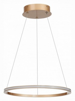 Подвесной светильник ST-Luce ST604 OUT ST604.243.22 в Добрянке - dobryanka.mebel24.online | фото 2