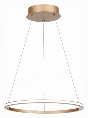 Подвесной светильник ST-Luce ST604 OUT ST604.243.22 в Добрянке - dobryanka.mebel24.online | фото 3