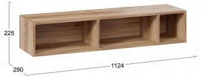 Полка навесная ТД-102.28 в Добрянке - dobryanka.mebel24.online | фото 9