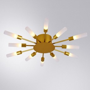 Потолочная люстра Arte Lamp Maple A1276PL-12GO в Добрянке - dobryanka.mebel24.online | фото 1