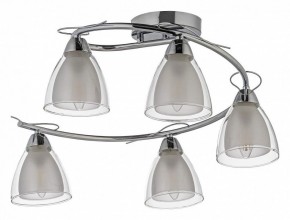 Потолочная люстра Arti Lampadari Paola, Tavenna Nickel Paola E 1.1.5 N в Добрянке - dobryanka.mebel24.online | фото