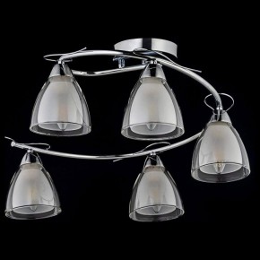 Потолочная люстра Arti Lampadari Paola, Tavenna Nickel Paola E 1.1.5 N в Добрянке - dobryanka.mebel24.online | фото 2