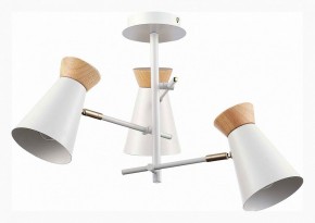 Потолочная люстра EVOLUCE Alfeo SLE1252-502-03 в Добрянке - dobryanka.mebel24.online | фото 2