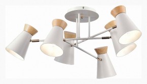 Потолочная люстра EVOLUCE Alfeo SLE1252-502-06 в Добрянке - dobryanka.mebel24.online | фото