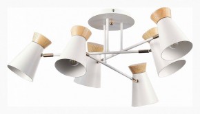 Потолочная люстра EVOLUCE Alfeo SLE1252-502-06 в Добрянке - dobryanka.mebel24.online | фото 2