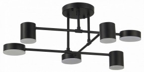 Потолочная люстра EVOLUCE Nobel SLE201042-06 в Добрянке - dobryanka.mebel24.online | фото 11