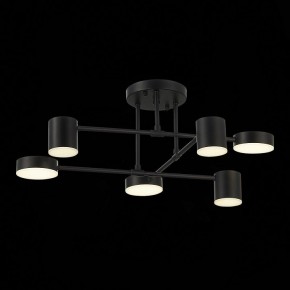 Потолочная люстра EVOLUCE Nobel SLE201042-06 в Добрянке - dobryanka.mebel24.online | фото 13