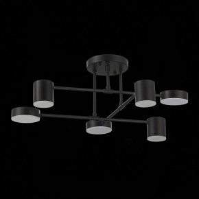 Потолочная люстра EVOLUCE Nobel SLE201042-06 в Добрянке - dobryanka.mebel24.online | фото 14