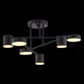 Потолочная люстра EVOLUCE Nobel SLE201042-06 в Добрянке - dobryanka.mebel24.online | фото 7