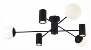 Потолочная люстра EVOLUCE Raito SLE1105-402-06 в Добрянке - dobryanka.mebel24.online | фото