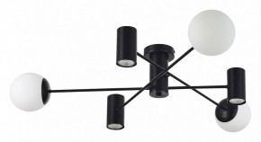 Потолочная люстра EVOLUCE Raito SLE1105-402-06 в Добрянке - dobryanka.mebel24.online | фото 2