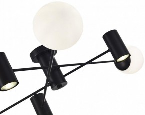 Потолочная люстра EVOLUCE Raito SLE1105-402-06 в Добрянке - dobryanka.mebel24.online | фото 3