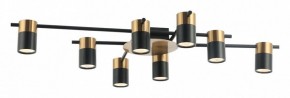 Потолочная люстра Favourite Topper 2825-8P в Добрянке - dobryanka.mebel24.online | фото 2