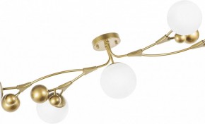 Потолочная люстра Lightstar Croco 815553 в Добрянке - dobryanka.mebel24.online | фото 6