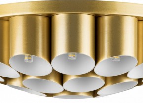 Потолочная люстра Lightstar Siena 720222 в Добрянке - dobryanka.mebel24.online | фото 3
