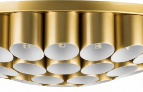 Потолочная люстра Lightstar Siena 720402 в Добрянке - dobryanka.mebel24.online | фото 3
