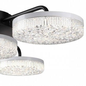Потолочная люстра Lumion Didana 8236/4CL в Добрянке - dobryanka.mebel24.online | фото 7