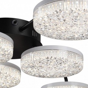 Потолочная люстра Lumion Didana 8236/6CL в Добрянке - dobryanka.mebel24.online | фото 9