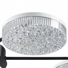 Потолочная люстра Lumion Didana 8236/7CL в Добрянке - dobryanka.mebel24.online | фото 9
