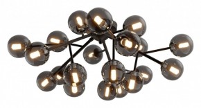 Потолочная люстра Maytoni Dallas MOD545CL-20B в Добрянке - dobryanka.mebel24.online | фото 2