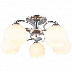 Потолочная люстра Omnilux Casoria OML-25107-05 в Добрянке - dobryanka.mebel24.online | фото 2
