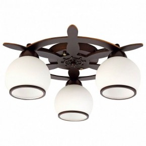 Потолочная люстра Omnilux Fronteira OML-50507-03 в Добрянке - dobryanka.mebel24.online | фото