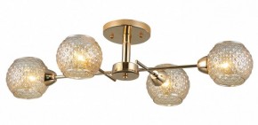 Потолочная люстра Rivoli Amalia Б0050815 в Добрянке - dobryanka.mebel24.online | фото 3