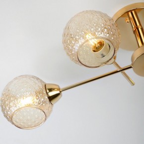 Потолочная люстра Rivoli Amalia Б0050815 в Добрянке - dobryanka.mebel24.online | фото 8