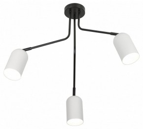 Потолочная люстра Rivoli Rosalinda Б0064987 в Добрянке - dobryanka.mebel24.online | фото 4