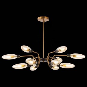 Потолочная люстра ST-Luce Desima SL1174.303.12 в Добрянке - dobryanka.mebel24.online | фото 2