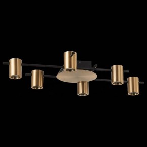 Потолочная люстра ST-Luce Veroli SL1207.402.06 в Добрянке - dobryanka.mebel24.online | фото 2