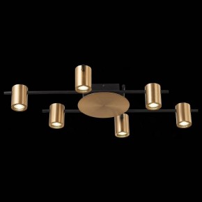 Потолочная люстра ST-Luce Veroli SL1207.402.06 в Добрянке - dobryanka.mebel24.online | фото 5