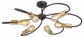 Потолочная люстра Vitaluce V3076 V3076-1/6PL в Добрянке - dobryanka.mebel24.online | фото 3
