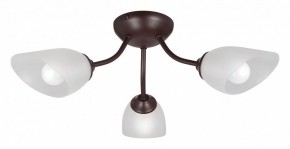 Потолочная люстра Vitaluce V3184 V3404/3PL в Добрянке - dobryanka.mebel24.online | фото