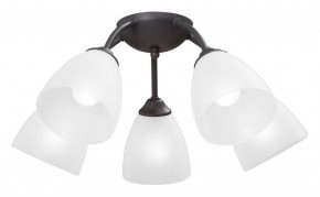 Потолочная люстра Vitaluce V3184 V3737-2/5PL в Добрянке - dobryanka.mebel24.online | фото