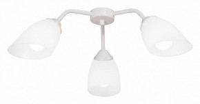 Потолочная люстра Vitaluce V31950 V31950/3PL в Добрянке - dobryanka.mebel24.online | фото