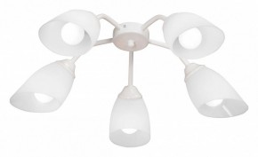 Потолочная люстра Vitaluce V31950 V31950/5PL в Добрянке - dobryanka.mebel24.online | фото