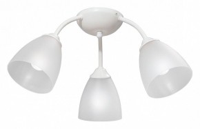 Потолочная люстра Vitaluce V3737 V3737-0/3PL в Добрянке - dobryanka.mebel24.online | фото
