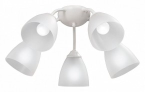 Потолочная люстра Vitaluce V3737 V3737-0/5PL в Добрянке - dobryanka.mebel24.online | фото