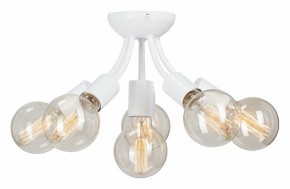 Потолочная люстра Vitaluce V3927 V3927-0/6PL в Добрянке - dobryanka.mebel24.online | фото