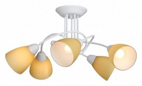 Потолочная люстра Vitaluce V3955 V3955-0/5PL в Добрянке - dobryanka.mebel24.online | фото 2