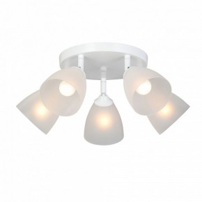 Потолочная люстра Vitaluce V4355 V4355-0/5PL в Добрянке - dobryanka.mebel24.online | фото 2
