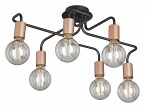 Потолочная люстра Vitaluce V4560 V4560-1/6PL в Добрянке - dobryanka.mebel24.online | фото
