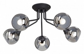 Потолочная люстра Vitaluce  V4724-1/5PL в Добрянке - dobryanka.mebel24.online | фото